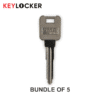 MZ19 | Metal Key | 5 x Mazda | Keylocker